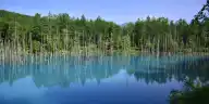 Is the Biei Blue Pond Worth It? What Visitors Say About the Color That Isn't Guaranteed