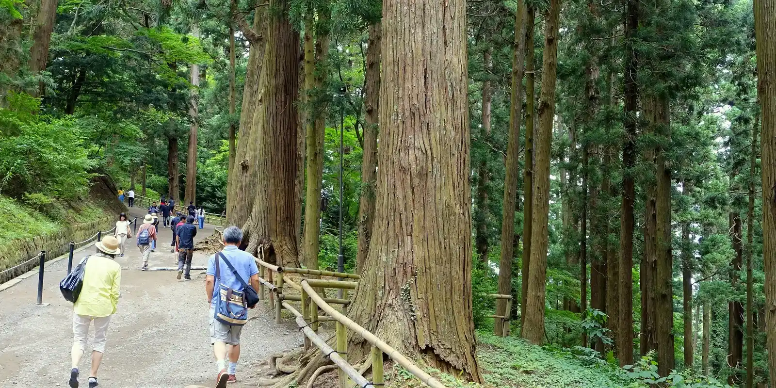 Is Hiraizumi Worth It? Japan's First National Treasure Is One Small Hall, a Long Way North