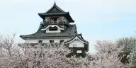 Is Inuyama Castle Worth It? The Small Keep That Keeps Winning the "Which Castle" Argument