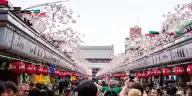 Is Japan Overtouristed? What Government Data and 500+ Japanese Voices Reveal