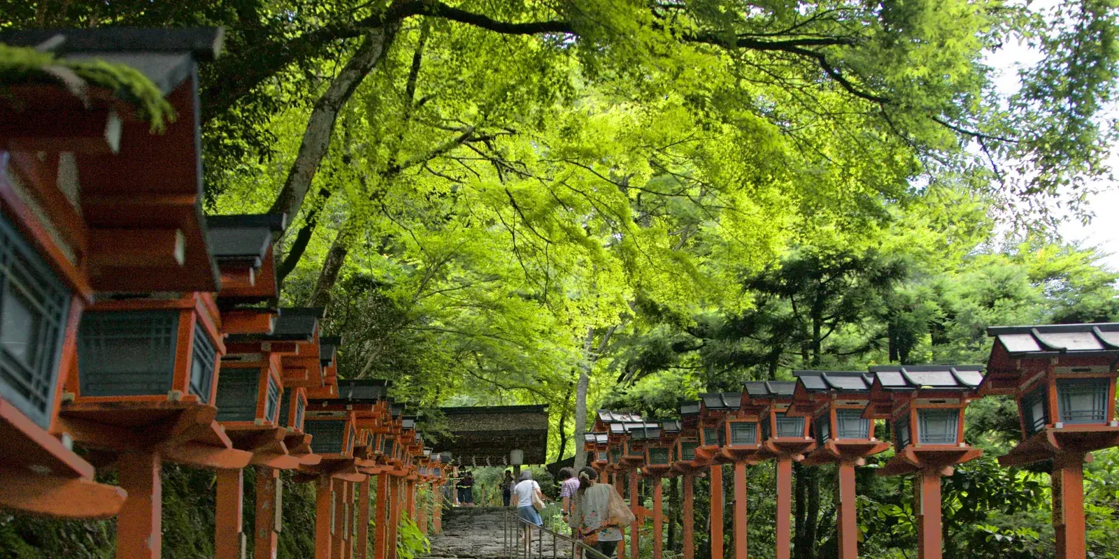 The lantern-lined stone steps up to Kibune Shrine, vermilion lamp posts on both sides amid mossy green forest