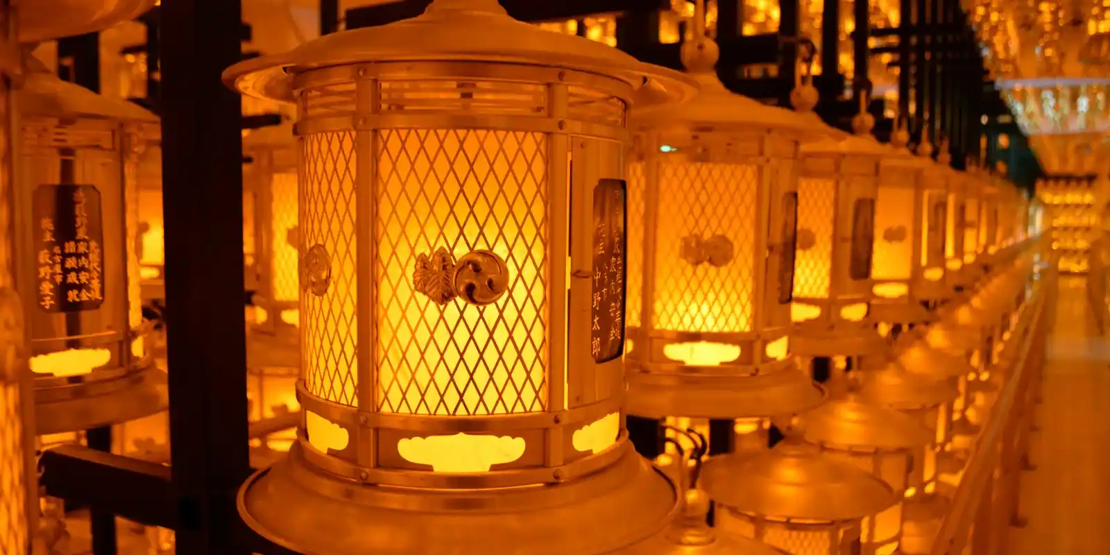 Is Koyasan Worth It? What Visitors — and the People Who Stay the Night — Actually Say