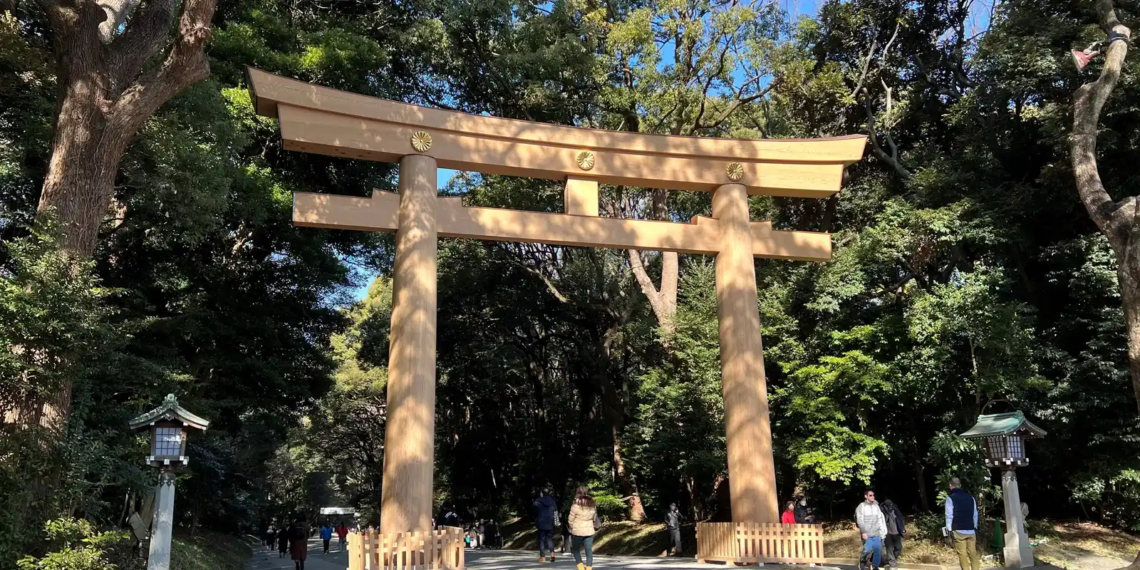 Is Meiji Jingu Worth It? What Travelers — and Tokyoites — Actually Say About the Forest Shrine