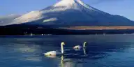 Is Mount Fuji Worth It? The Honest Answer Is About the Morning You Pick — Not the Mountain