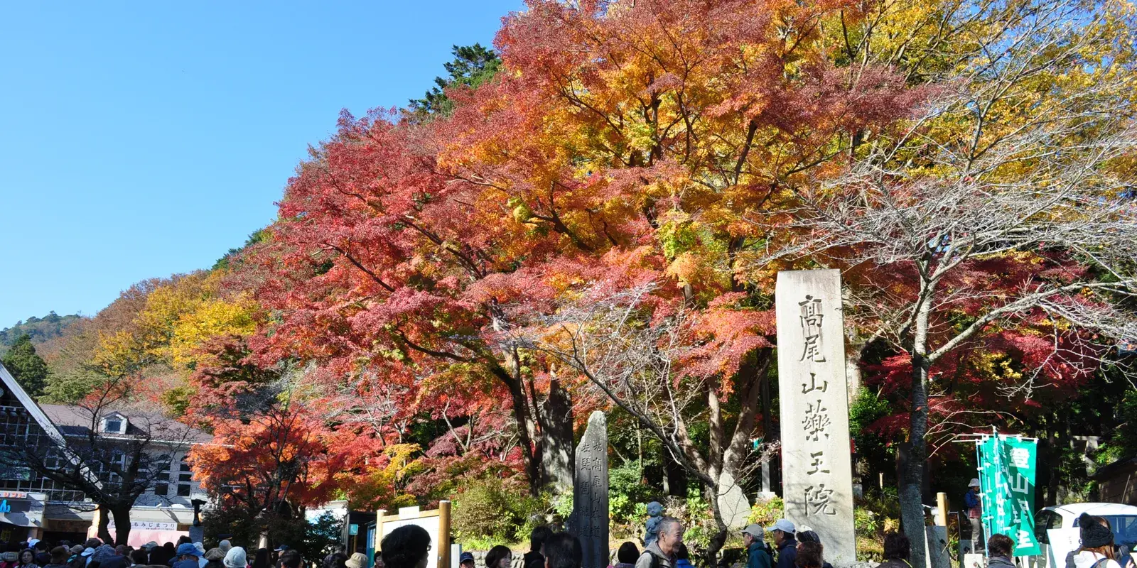 A crowd walking past vivid red and gold autumn maples beside the stone marker for Takaosan Yakuoin temple, on Mount Takao