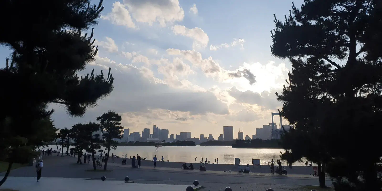Silhouetted pine trees framing a view across Odaiba's beach and waterfront promenade toward the Tokyo skyline and Rainbow Bridge at dusk