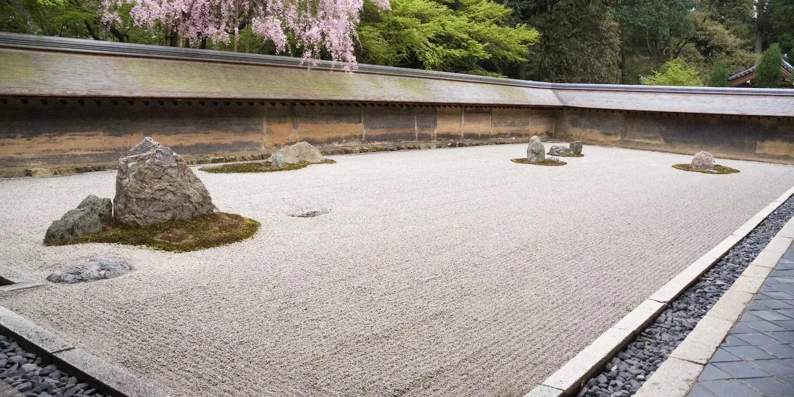 The dry rock garden at Ryoan-ji in spring, a sweep of raked white gravel with weathered stones and a flowering cherry tree over the temple wall