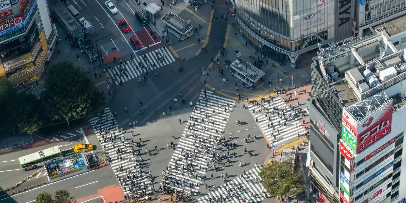 Is the Shibuya Crossing Worth It? The Answer Is Where You're Standing