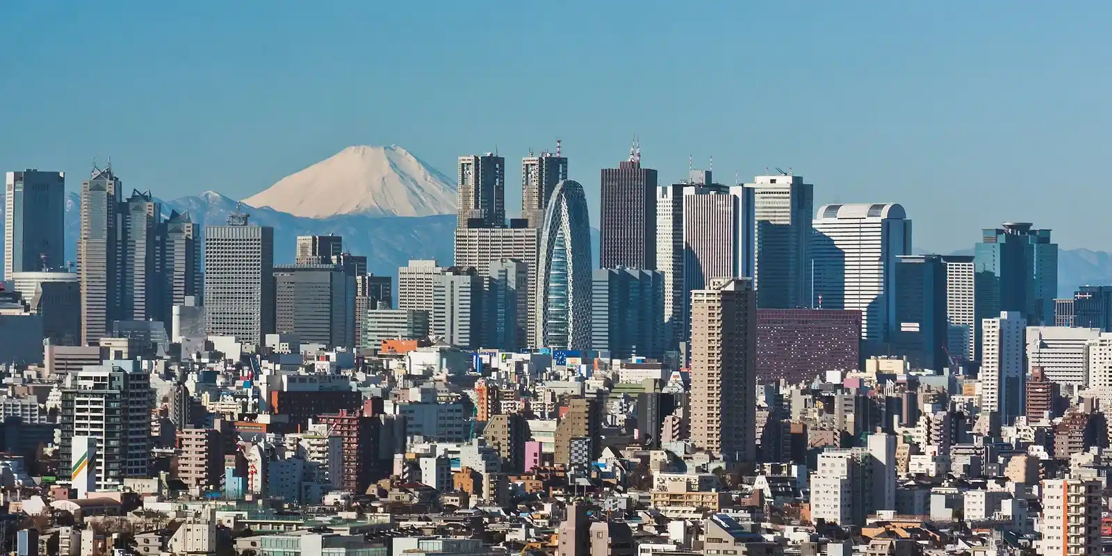 Is Shinjuku Worth It? Almost Nobody Is Arguing About the Same Place