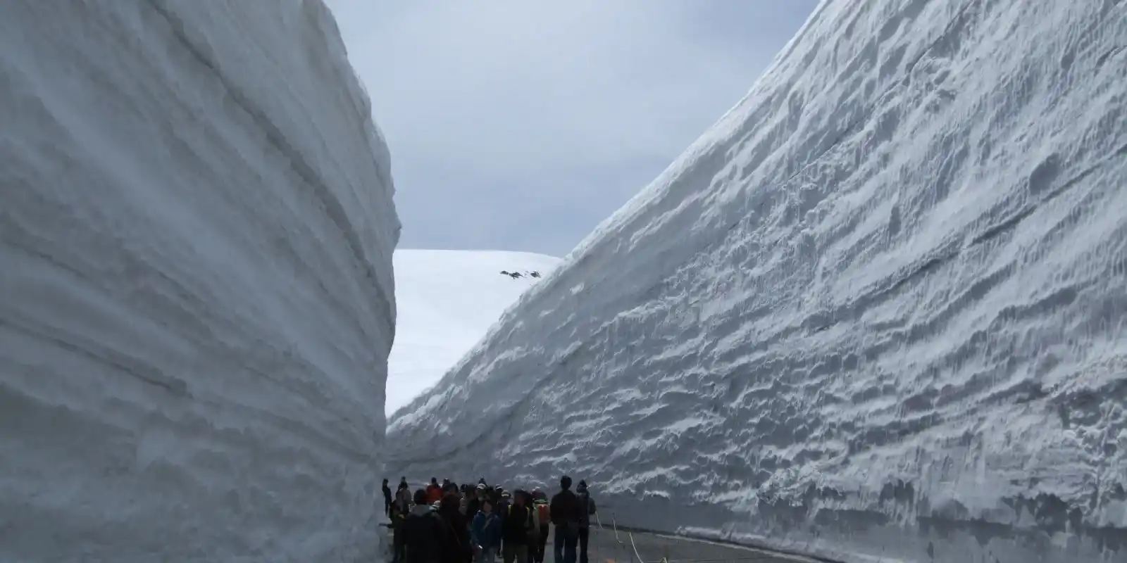Is the Tateyama Kurobe Alpine Route Worth It? What Happens When You Bet a Whole Day on the Weather