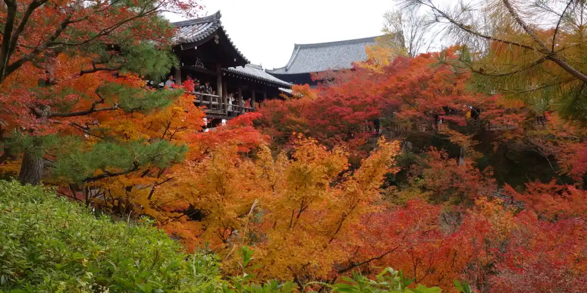 Is Tofuku-ji Worth It? Almost Everyone Who Goes Says Yes, If They Time It Right