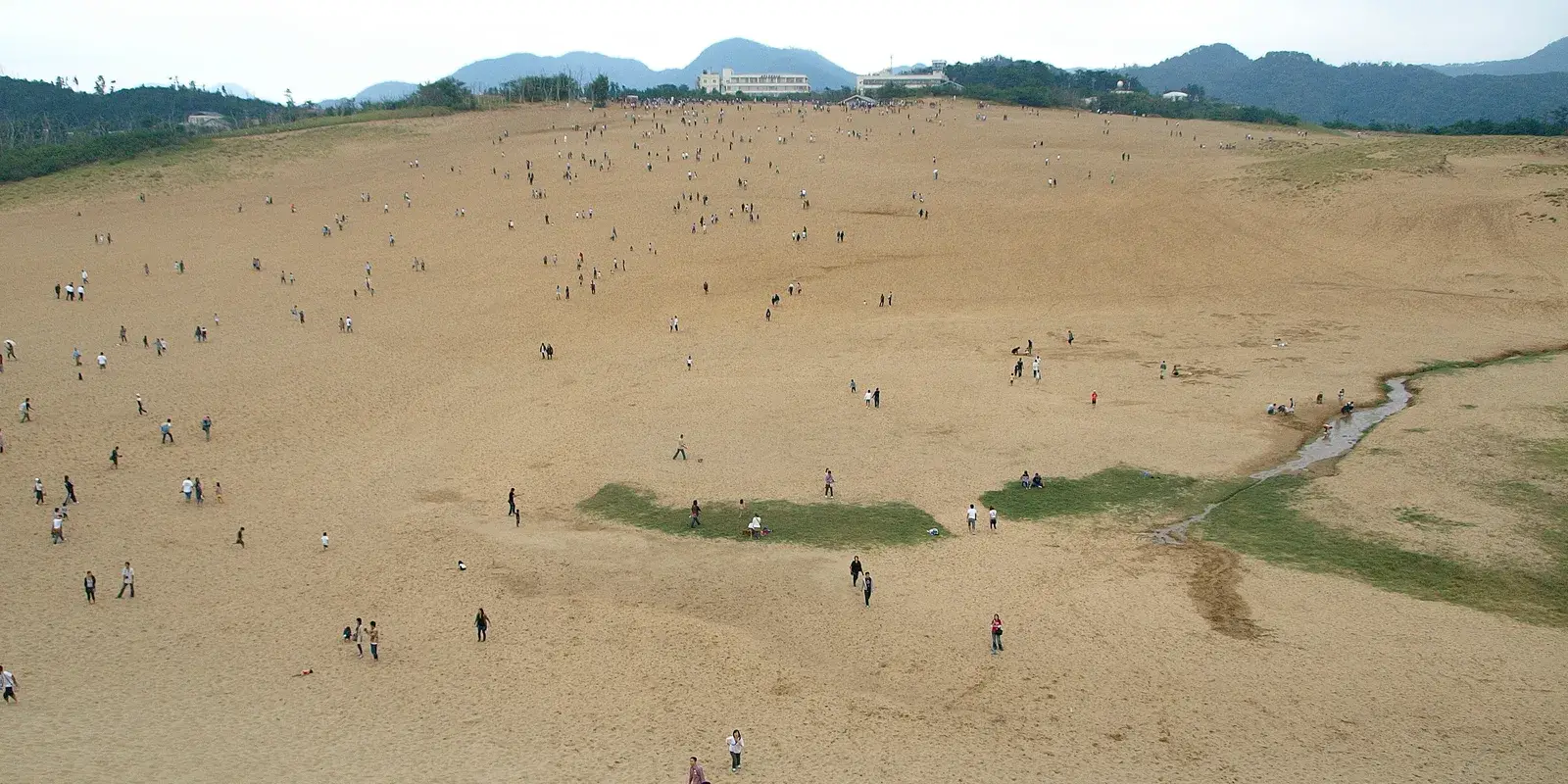 The vast bowl of the Tottori Sand Dunes seen from the ridge, with tiny figures scattered across the sand and green hills behind