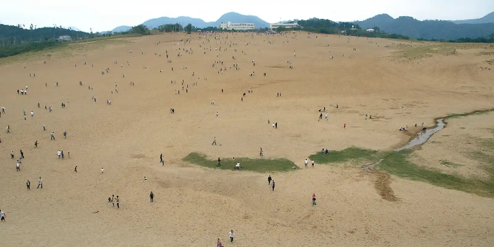Are the Tottori Sand Dunes Worth It? A 'Desert' That Splits Visitors and Warms Locals