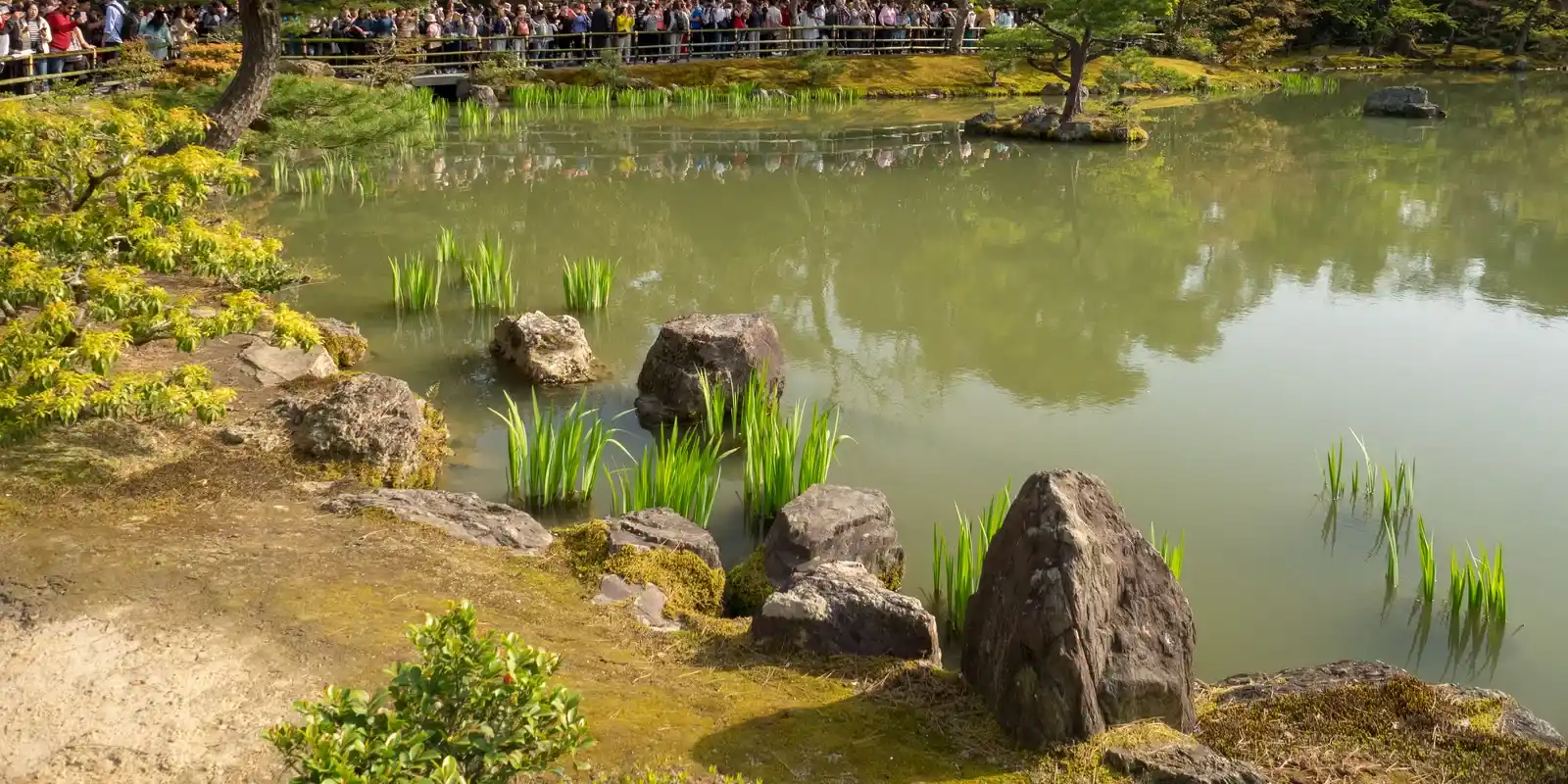 "Excuse Me, Can You Take My Photo?" — What Japanese People Really Think