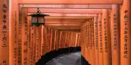 Visiting Temples and Shrines — What Japanese People Notice
