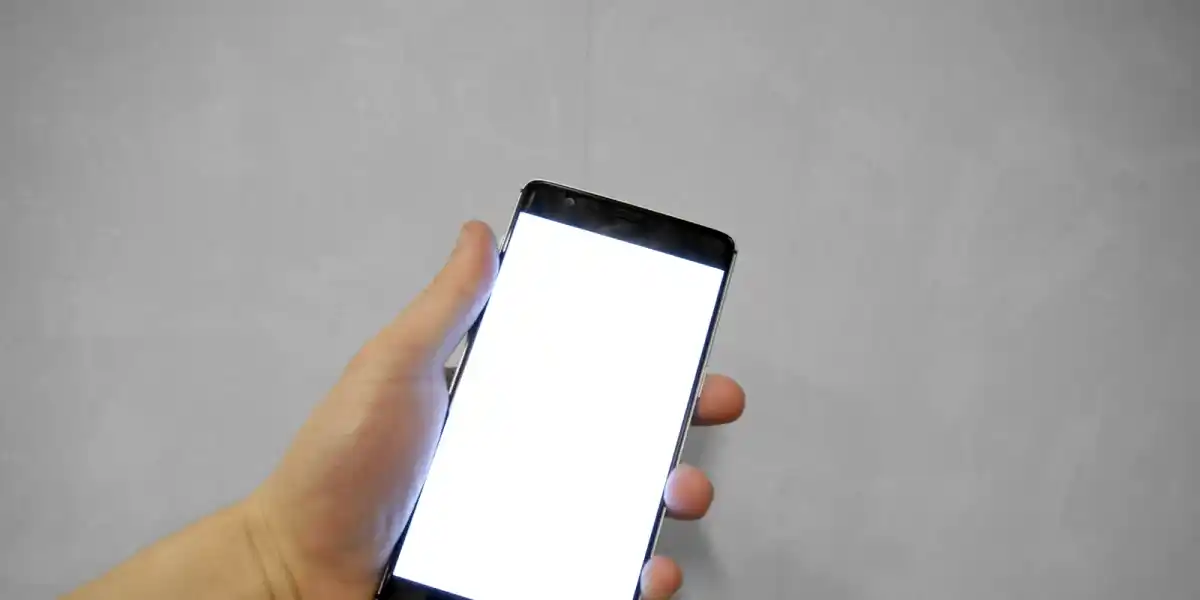 What Japanese People Actually Think When You Pull Out a Translation App
