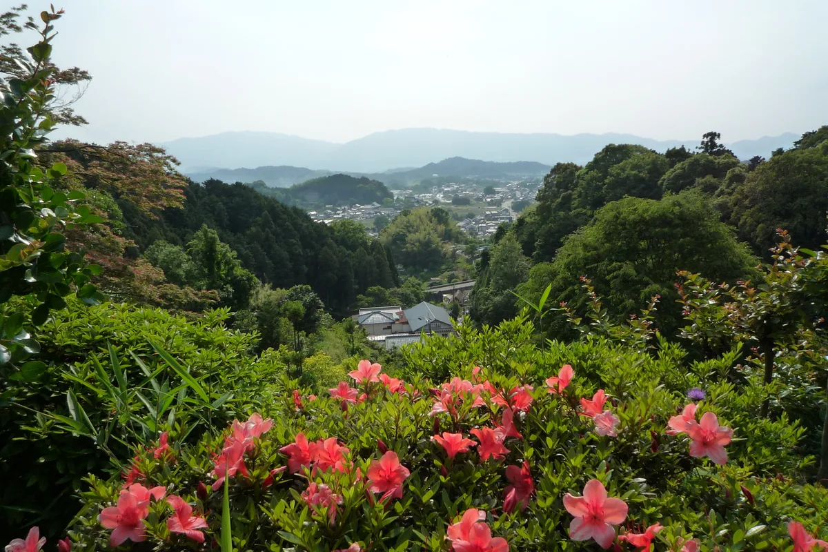 Terraced rice paddies and farmhouses in the Asuka valley, seen from the hillside above Okadera temple