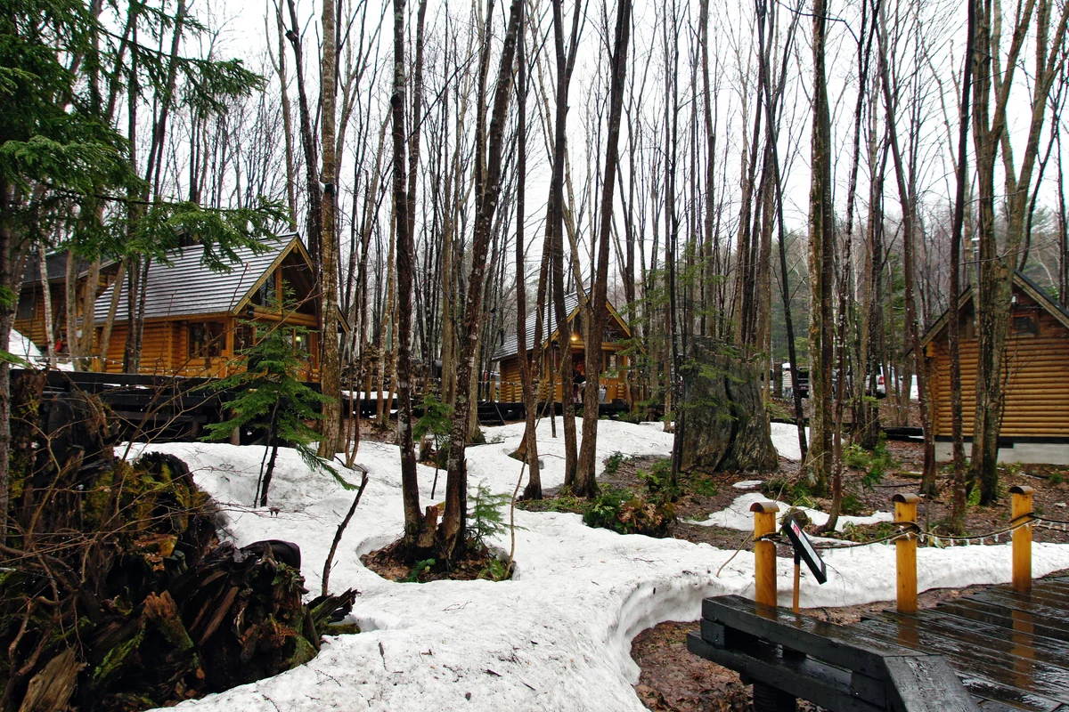 Wooden log cabins among bare trees at Ningle Terrace in Furano, with patches of melting snow on the ground