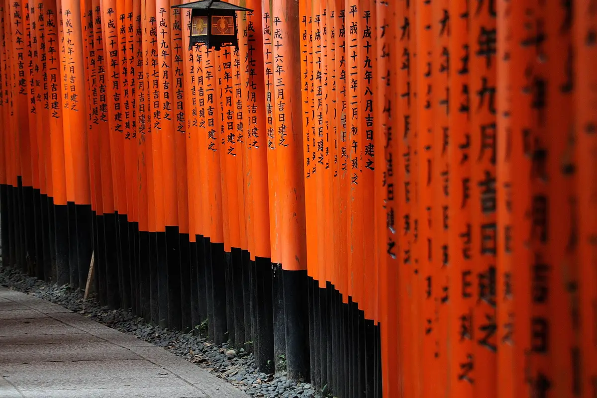 Seen from behind: a curving row of vermillion torii pillars, each inscribed in black with the date the gate was raised
