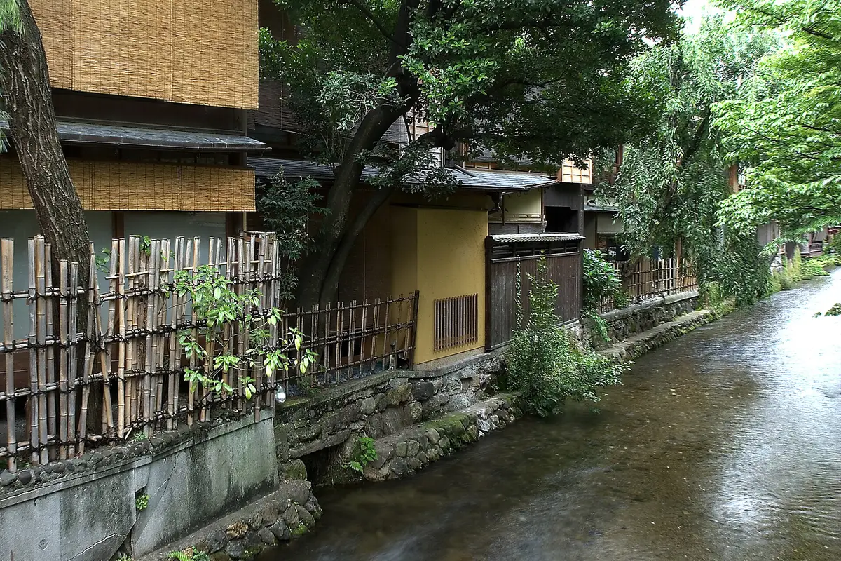 Looking downstream along the Shirakawa canal in Gion, Kyoto: shallow clear water, stone embankments, bamboo fencing and the wooden backs of machiya houses under summer greenery.