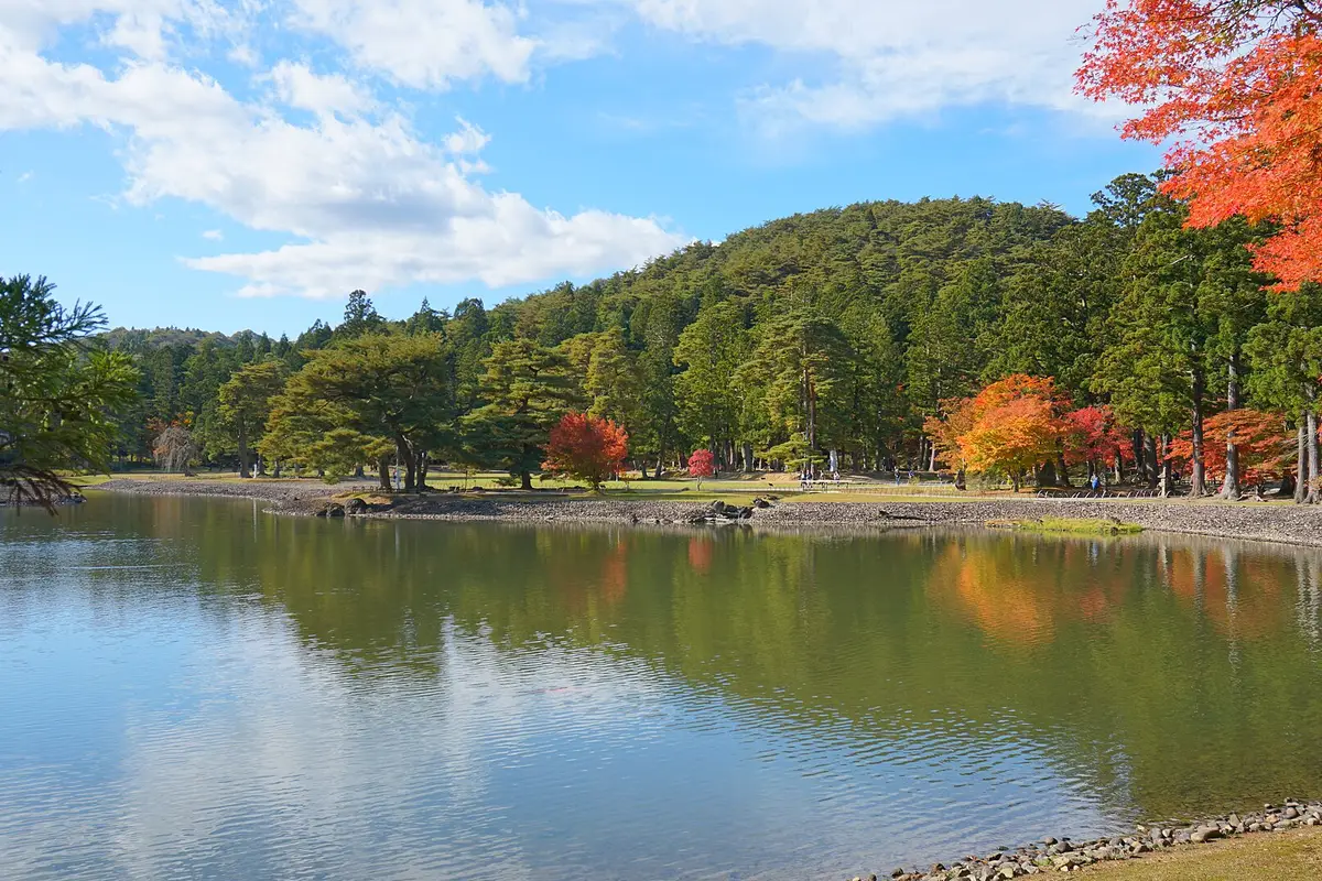 Looking across the pond of the Pure Land garden at Motsu-ji in autumn, with trees turning red along the far shore and a wooded hill beyond