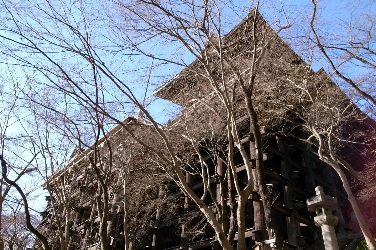 Seen from the slope below: the lattice of wooden pillars and crossbeams carrying the main hall of Kiyomizu-dera, its bark roof rising above bare branches