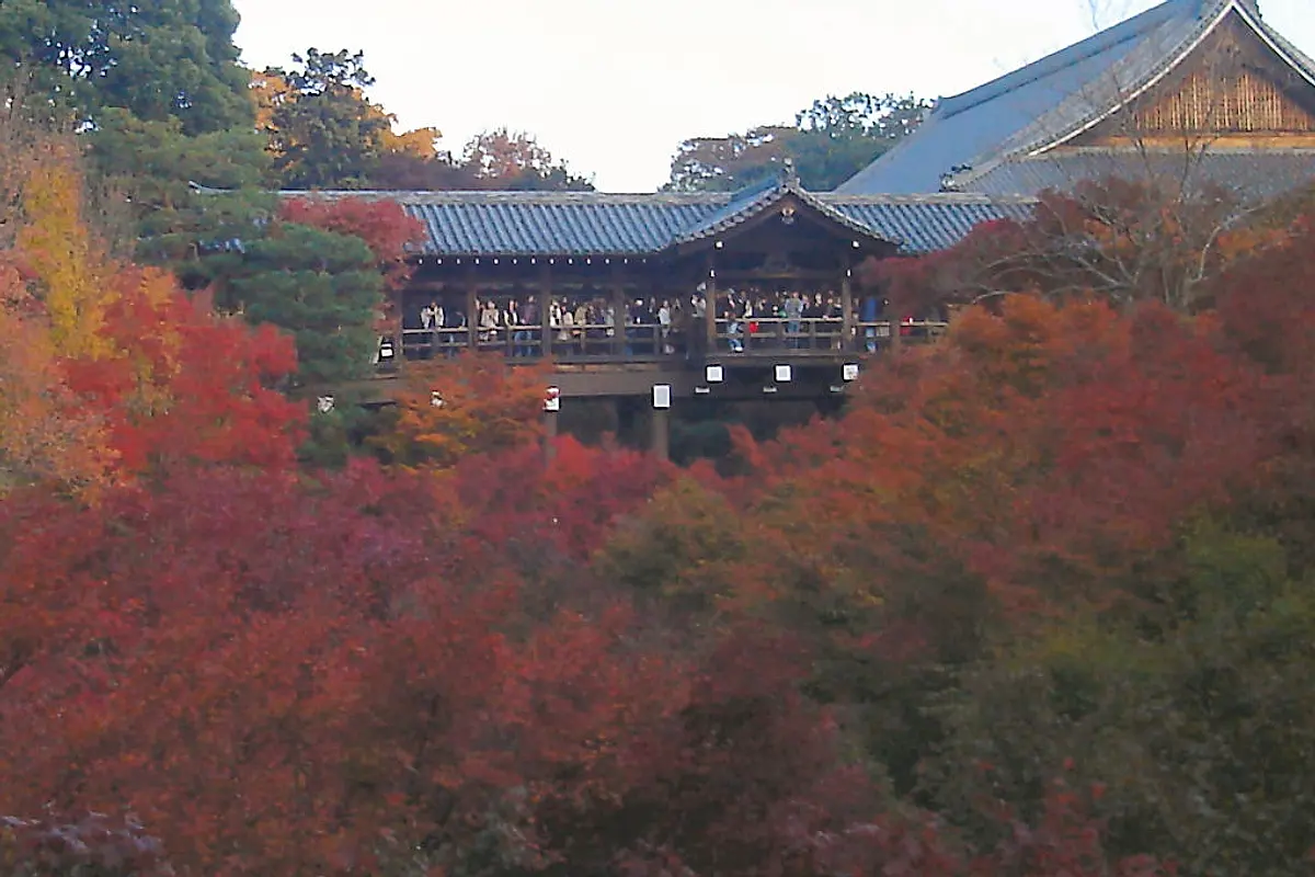 Visitors standing shoulder to shoulder along the railing of Tsutenkyo Bridge, a covered wooden walkway above a ravine of red maples in Kyoto