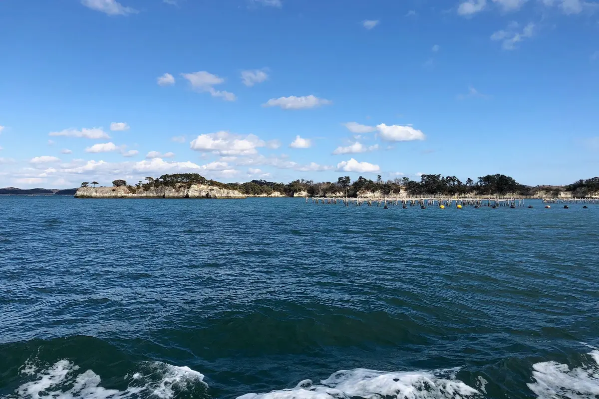 Seen from the deck of a cruise boat: low pine-topped islands lying along the horizon across the open water of Matsushima Bay