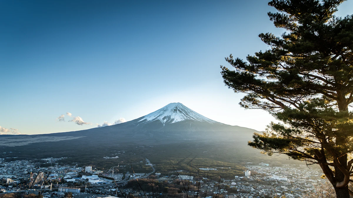 Mount Fuji rising above a town with a pine tree in the foreground