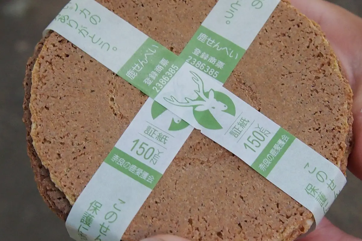 Close view of a banded bundle of shika-senbei deer crackers resting in an open hand