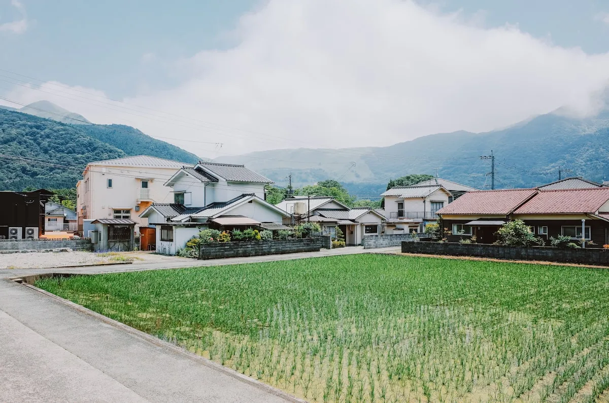 Green rice paddies in front of traditional Japanese houses with misty mountains in the background