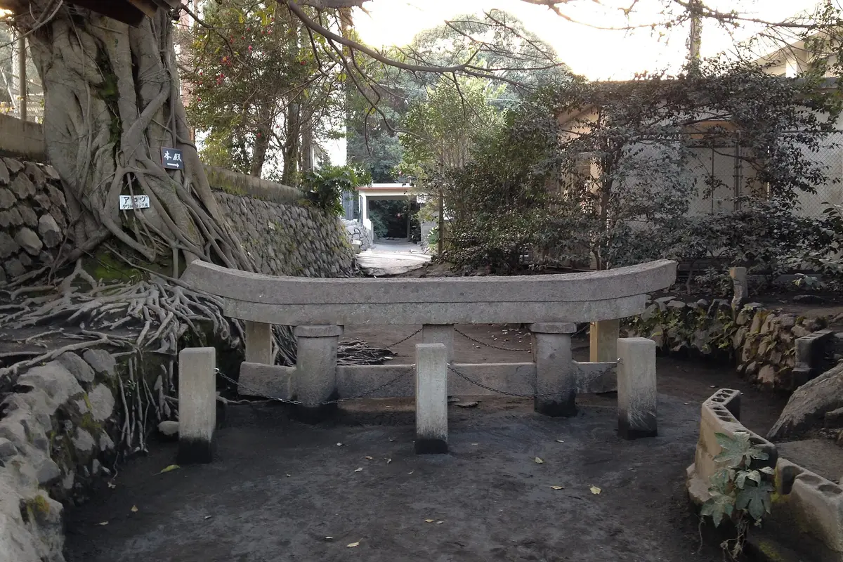 Only the curved top beam of a stone torii standing above grey volcanic ground at Kurokami on Sakurajima, with the roots of an old tree behind it