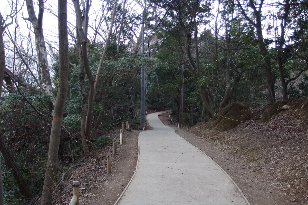 An empty, fully paved forest path curving uphill through trees on Mount Takao's Trail 1