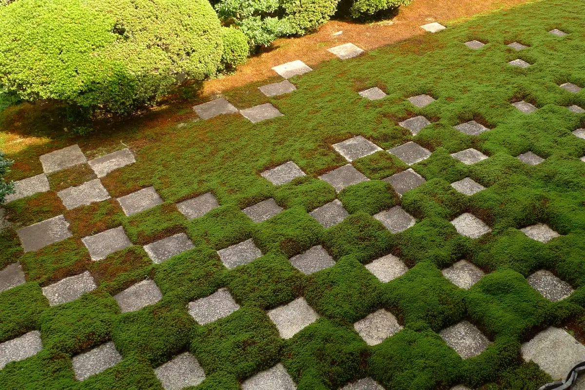 Squares of green moss alternating with pale cut stones in a checkerboard grid across the north garden of the abbot's hall at Tofuku-ji