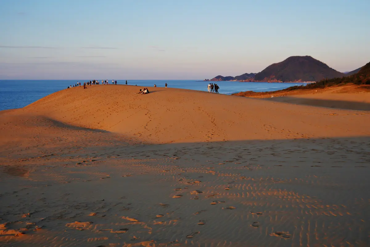 From the sand below: walkers lined along the crest of the big dune ridge at Tottori, with the Sea of Japan behind them in low evening light