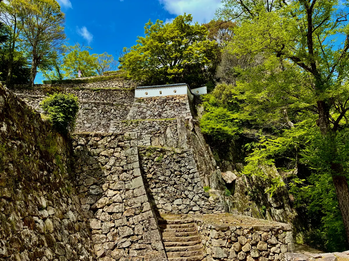 Rough, natural stones stacked into a high castle wall climbing the wooded mountainside