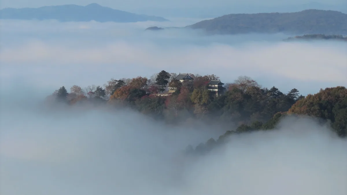 Bitchu-Matsuyama Castle — Why the Castle Is the Whole Mountain, Not the Keep at the Top