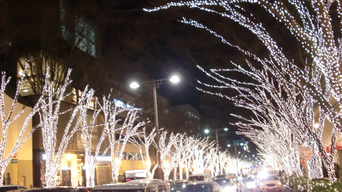 The zelkova trees of Omotesando avenue, lit up in winter