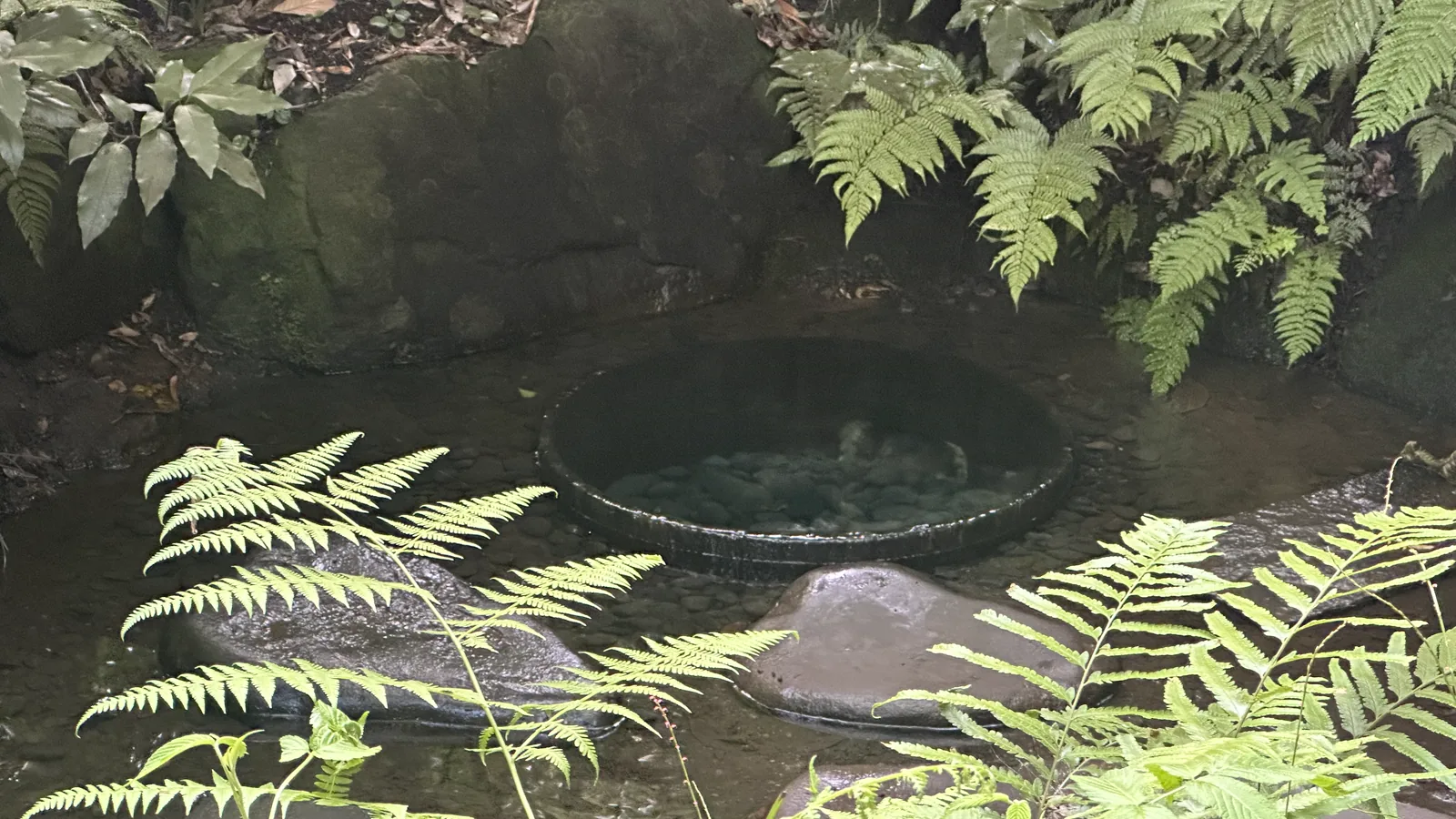 Kiyomasa's Well, a clear spring in the Inner Garden of Meiji Jingu