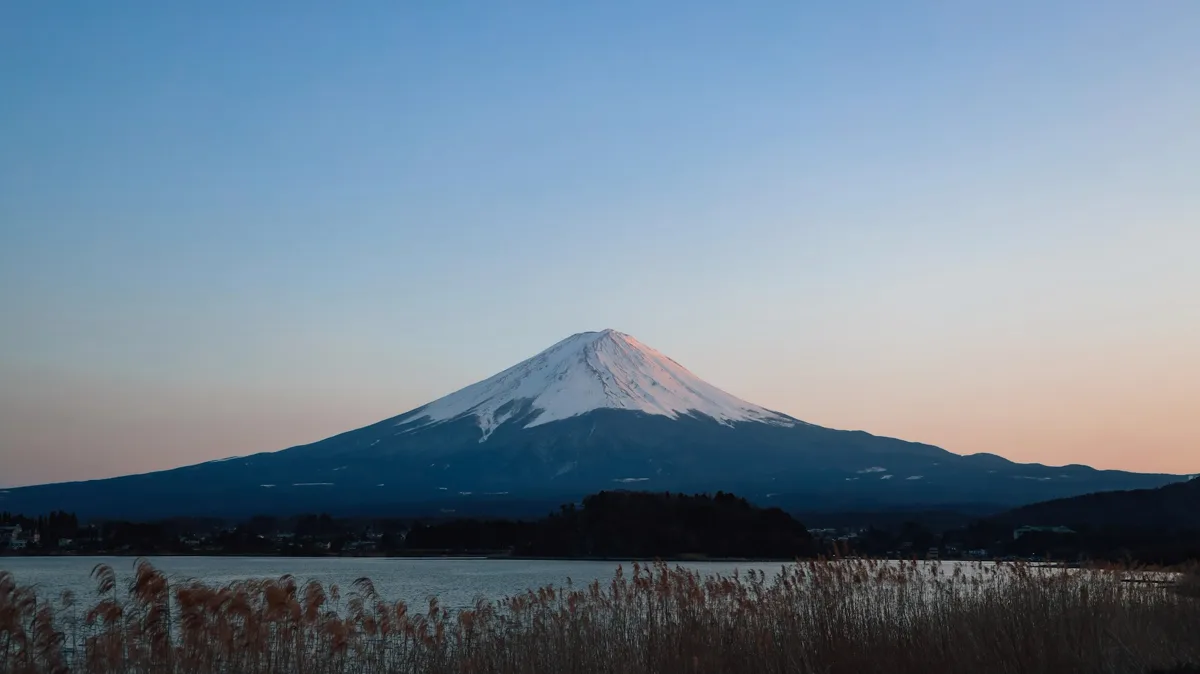 Mount Fuji at dawn beyond the reeds of one of the Fuji Five Lakes