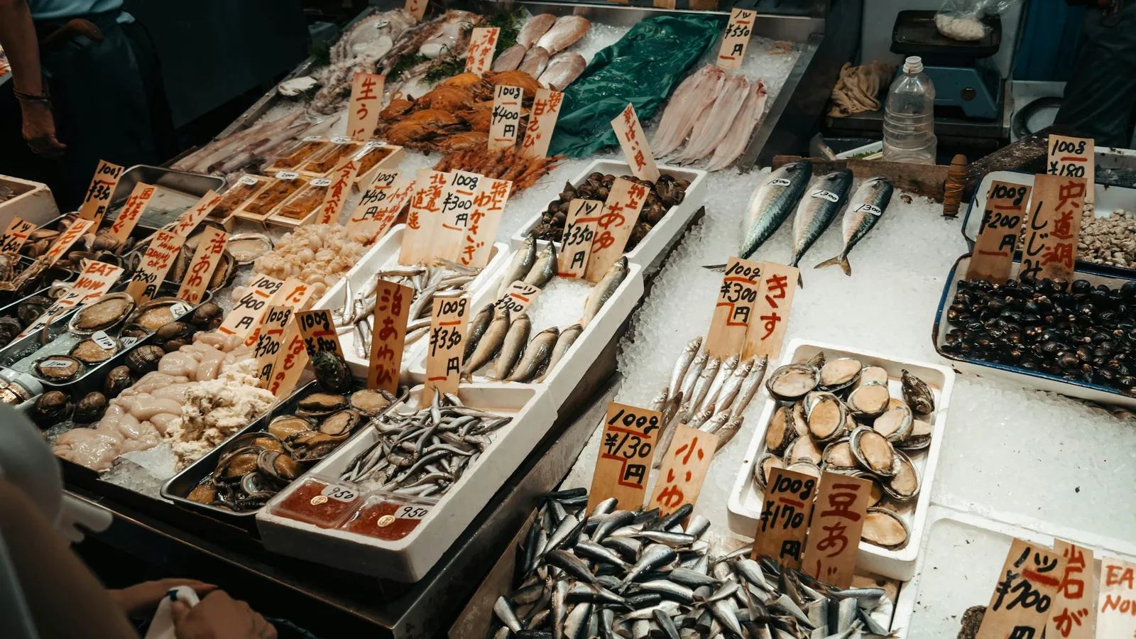 Nishiki Market — Kyoto's Kitchen, One Bite at a Time