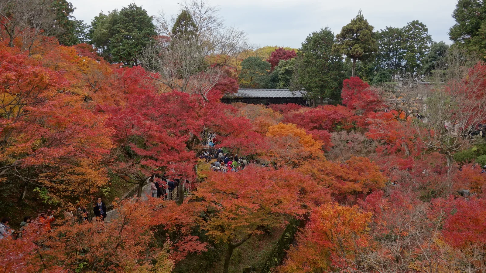 Tofuku-ji — The Maple Bridge Everyone Photographs, and the Zen Garden Almost No One Reads