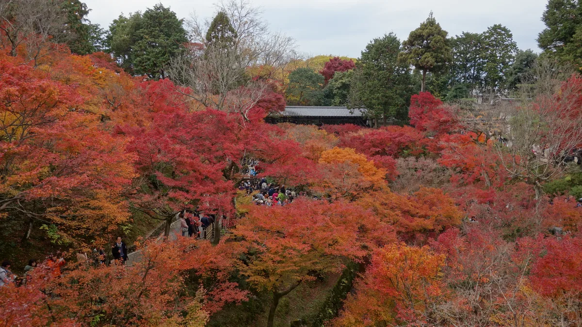 Tofuku-ji — The Maple Bridge Everyone Photographs, and the Zen Garden Almost No One Reads