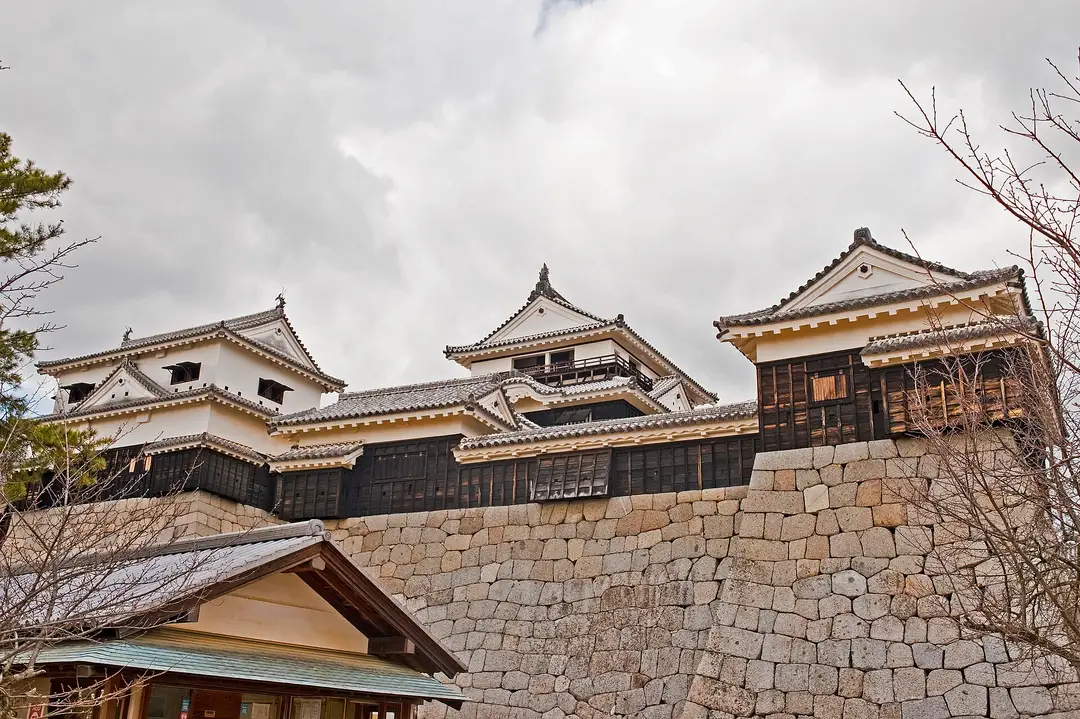 Matsuyama Castle's connected cluster of keep and turrets on its stone ramparts