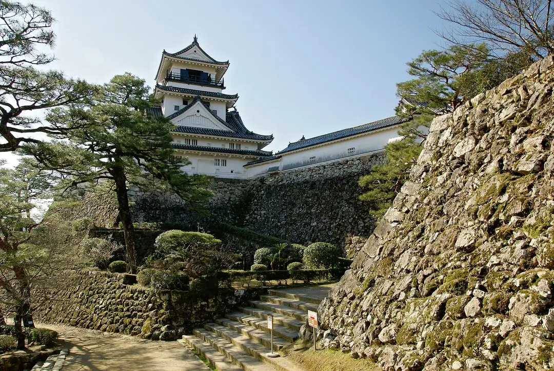 Kochi Castle's original keep standing above its stone walls