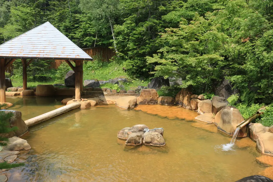 A steaming open-air hot-spring bath set among trees and rocks, empty and quiet