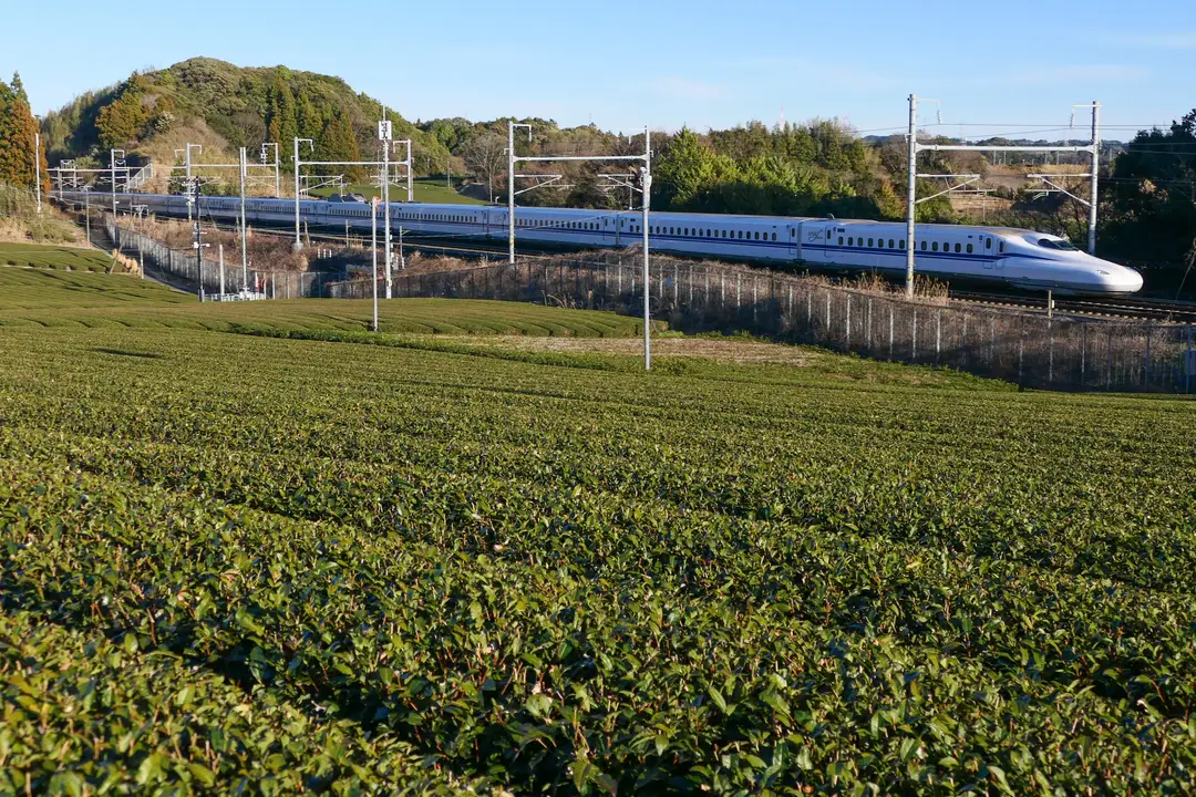 A white N700S Shinkansen gliding past green tea fields in the Shizuoka countryside under a clear sky