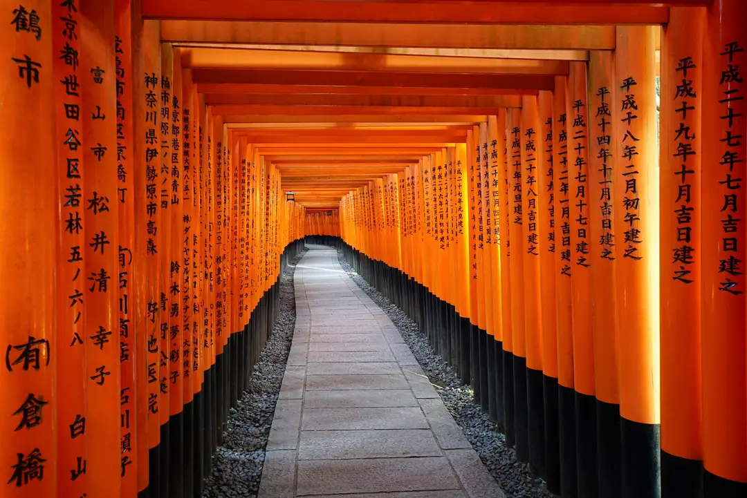 The vermilion torii corridor winding up the hill at Fushimi Inari, Kyoto