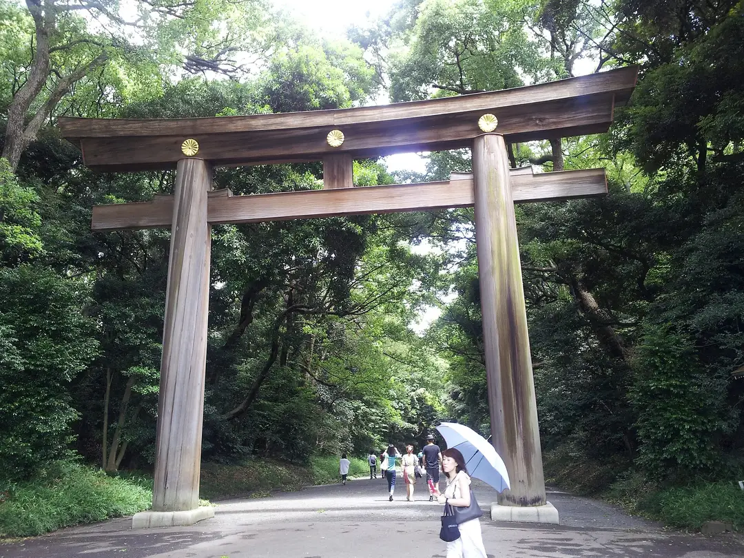 The tall wooden torii gate on the forest approach to Meiji Jingu shrine in Tokyo