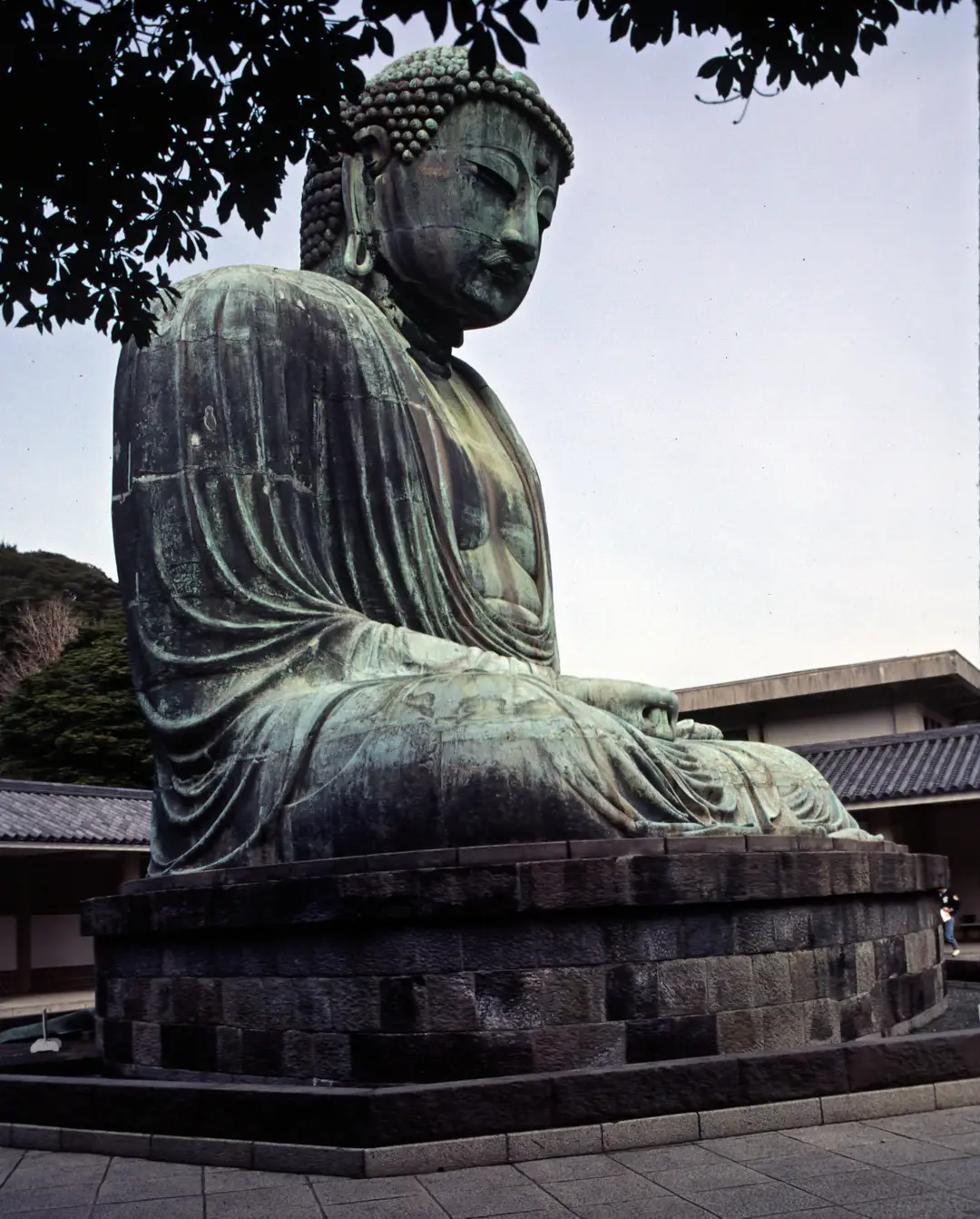 The bronze Great Buddha of Kamakura seated in the open air at Kotoku-in